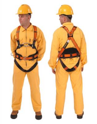  .   . ELEKTRON CA 121