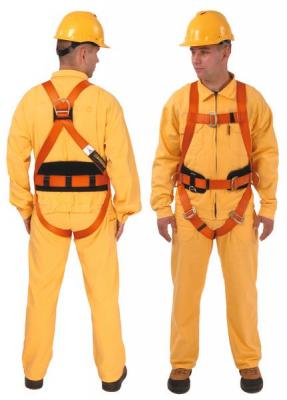  .   . BASIC PLUS CA 102